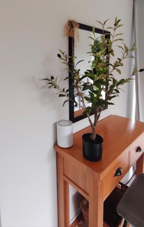 To Let 1 Bedroom Property for Rent in Brackenridge Western Cape